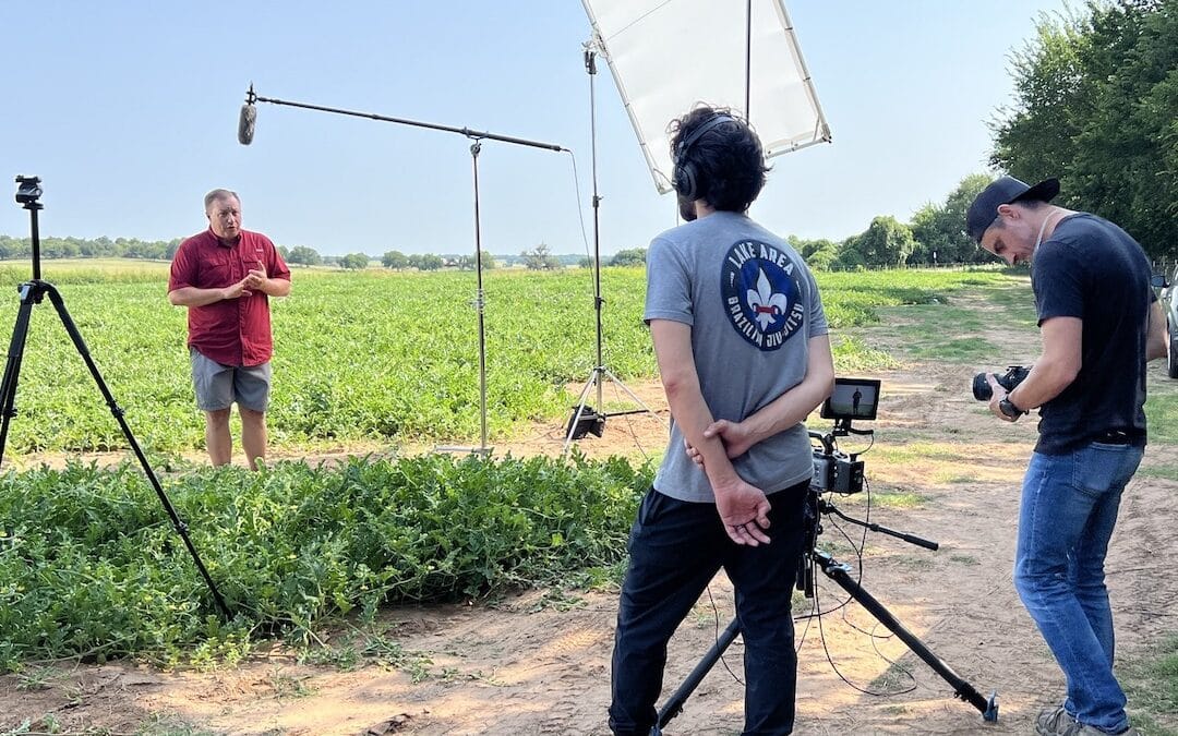 The Rise of Short Films in the Digital World