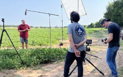 The Rise of Short Films in the Digital World