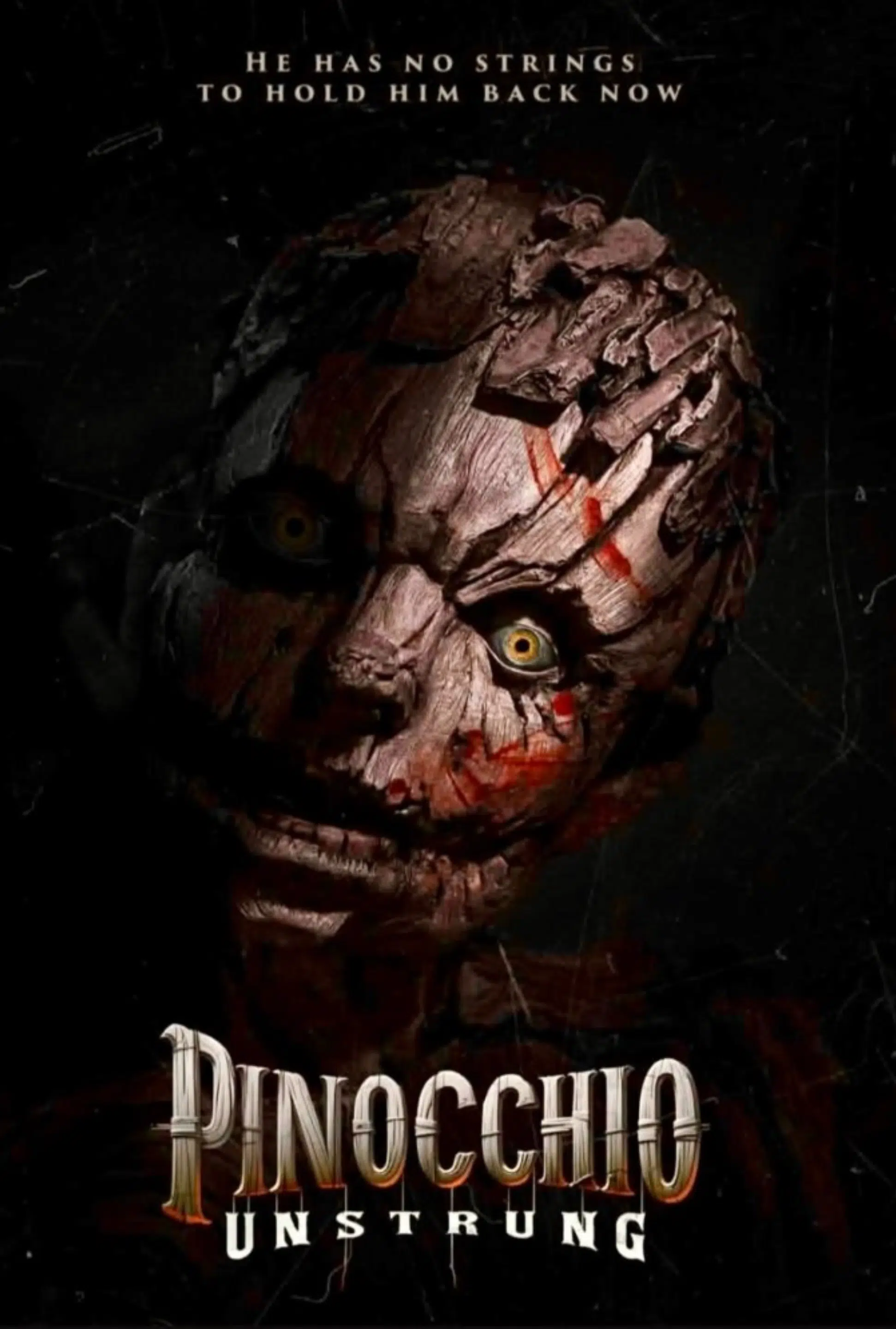 The Boiling Point Media film team did extensive VFX work on the movie Pinocchio Unstrung to bring the characters to life.