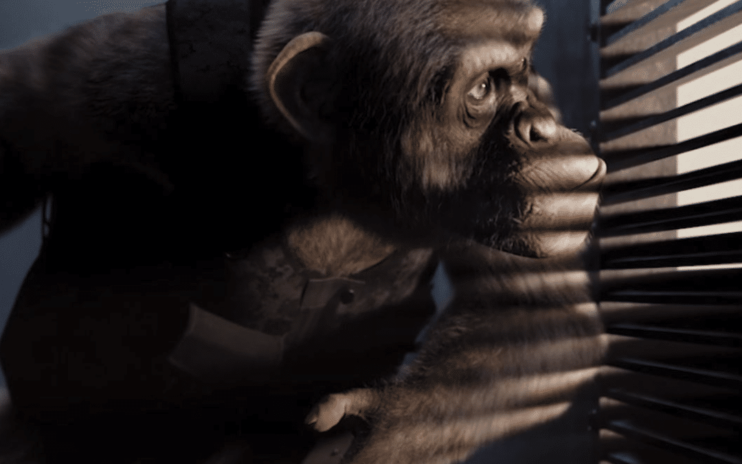 How To Develop A Compelling Character For Your Film