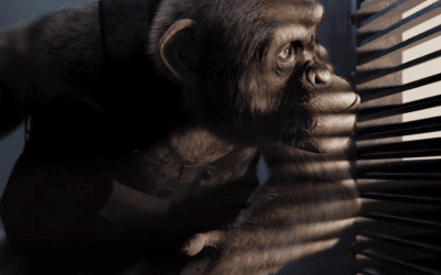 How To Develop A Compelling Character For Your Film